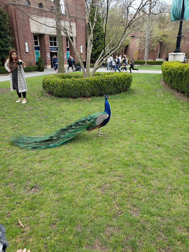 Zoo «Prospect Park Zoo», reviews and photos, 450 Flatbush Ave, Brooklyn, NY 11225, USA