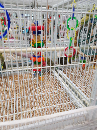 Pet Supply Store «Pet Supermarket», reviews and photos, 6701 E Independence Blvd, Charlotte, NC 28212, USA