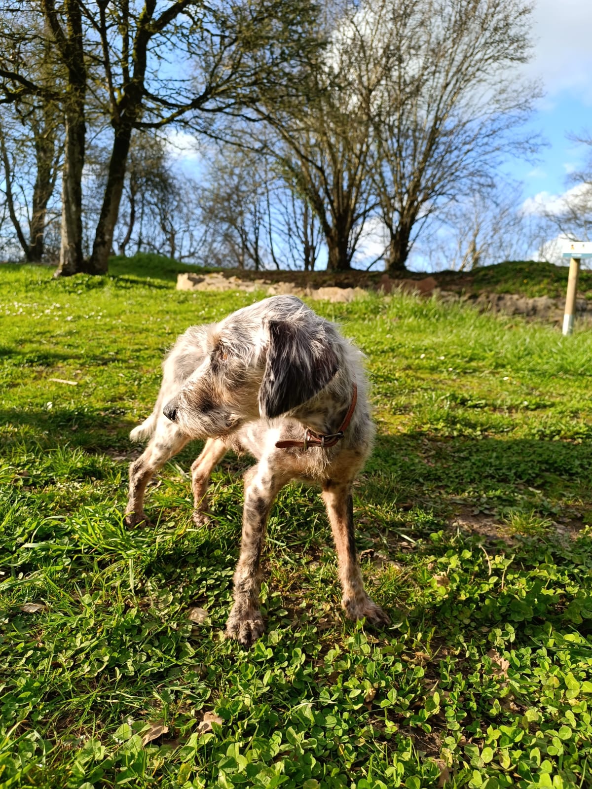 Photo n° 2 de l'avis de Isabelle.e fait le 22/03/2024 à 17:10