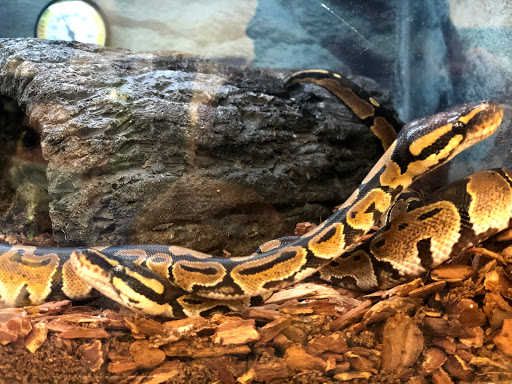 Pet Supply Store «Petco Animal Supplies», reviews and photos, 3637 2700 W, West Valley City, UT 84119, USA