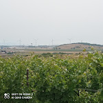 Photo n°17 de l'avis de Gianfranco.i fait le 20/06/2021 à 19:22 sur le  POGGIO ROSSO GLAMPING à Populonia