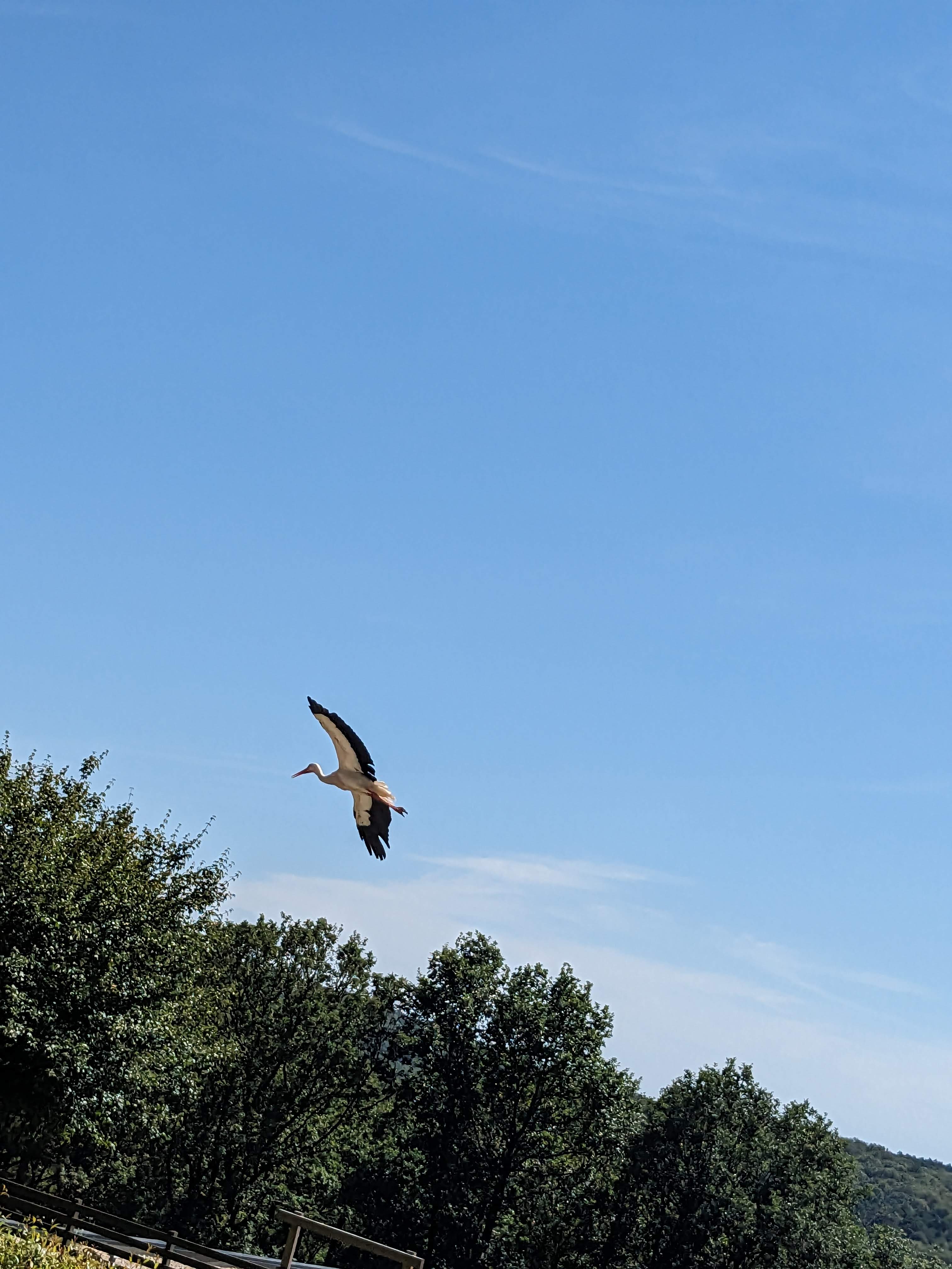 Photo n° 7 de l'avis de Ophélie.a fait le 12/08/2023 à 18:00