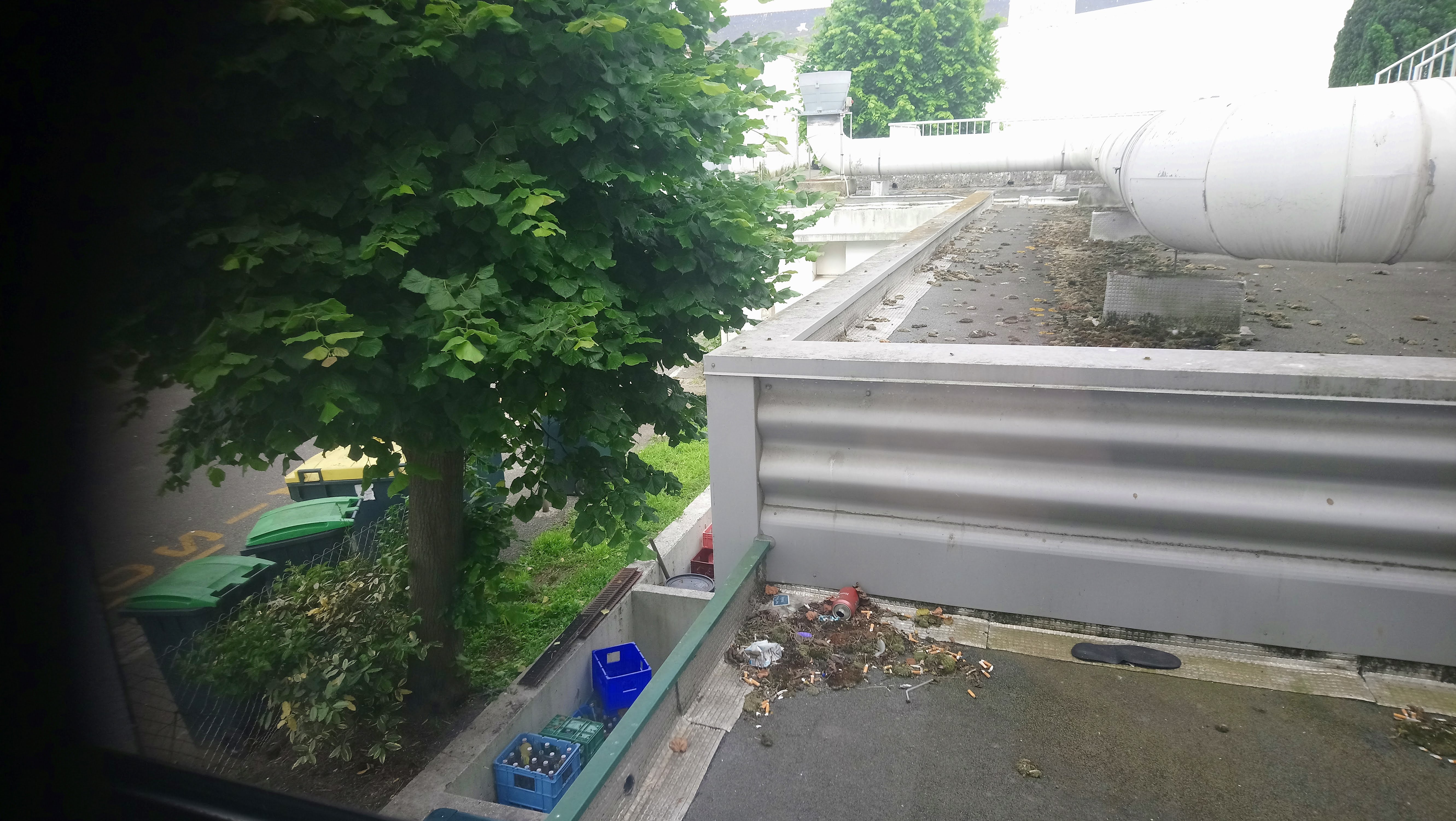 Photo n° 1 de l'avis de Harpie.� fait le 12/06/2019 à 07:09