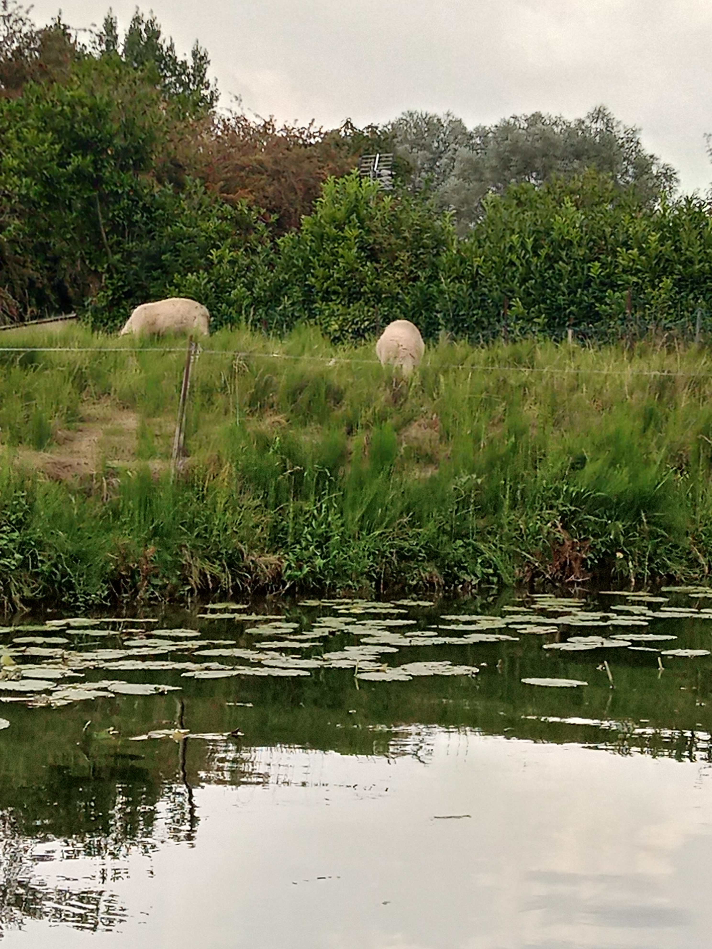 Photo n° 3 de l'avis de aventure.� fait le 18/08/2020 à 16:15