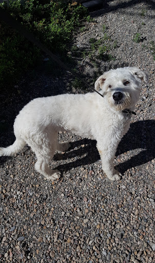 3816 Highland Dr, Salt Lake City, UT 84106, USA