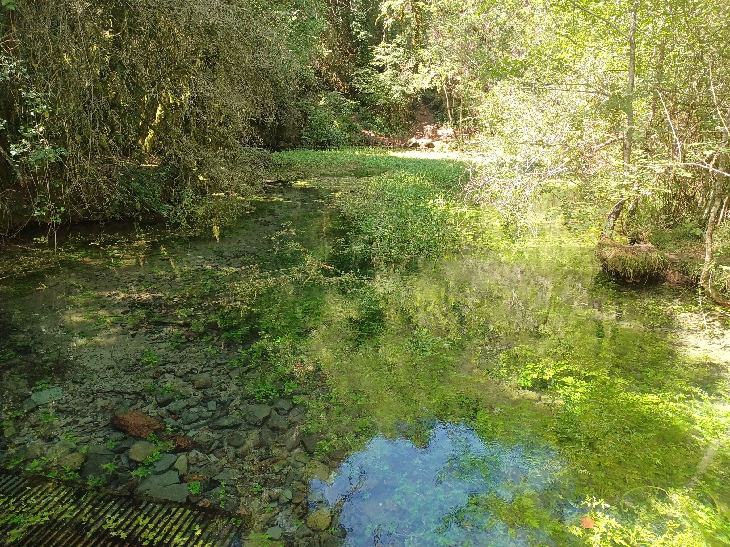 Photo n° 1 de l'avis de Remrem.. fait le 23/08/2023 à 13:47