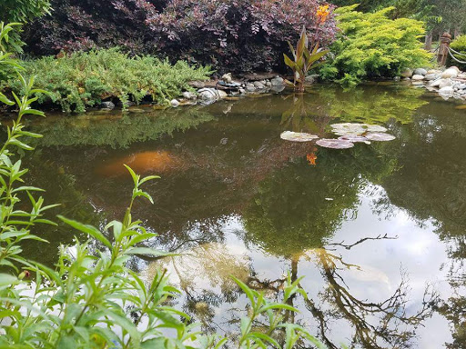 Cornerstone Ponds and Waterfalls image