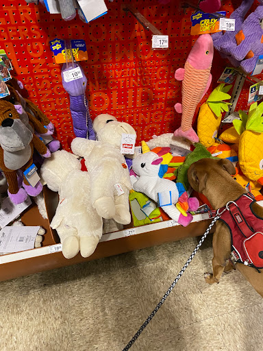 Pet Supply Store «PetSmart», reviews and photos, 2818 S Louise Ave, Sioux Falls, SD 57106, USA