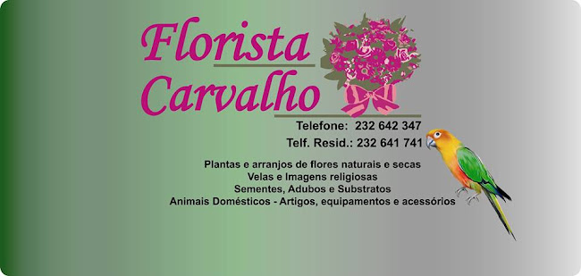 Avaliações doFlorista Carvalho em Penalva do Castelo - Floricultura