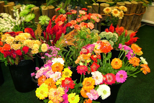 Dulles Florist Inc, 716 Lynn St, Herndon, VA 20170, USA, 