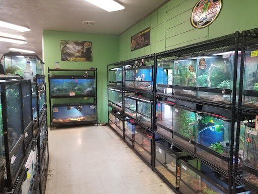 Pet Store «Pet Planet», reviews and photos, 11968 S Redwood Rd, Riverton, UT 84065, USA