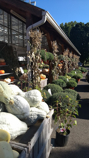 Produce Market «E Draghi & Son Farm Stand», reviews and photos, 86 Main St, South Glastonbury, CT 06073, USA