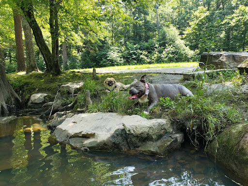 Park «Boyle Park», reviews and photos, 2000 Boyle Park Rd, Little Rock, AR 72204, USA