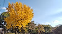 熊本県護国神社