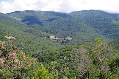 Massif des Albères à Laroque-des-Albères
