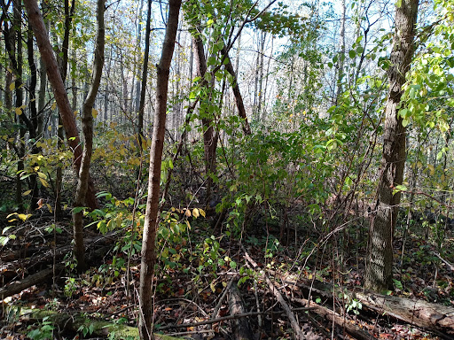 Nature Preserve «Sutherland Nature Sanctuary», reviews and photos, 3998 Diehl Rd, Metamora, MI 48455, USA