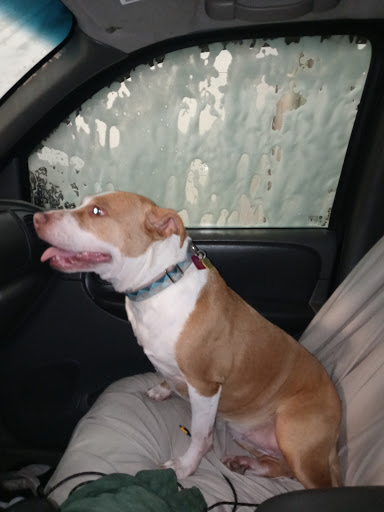 Car Wash «Carriage Auto Wash», reviews and photos, 4193 W 150th St, Cleveland, OH 44135, USA