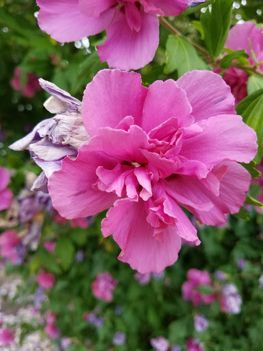 Golf Club «Fircrest Golf Club», reviews and photos, 1500 Regents Blvd, Fircrest, WA 98466, USA