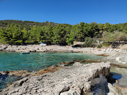 Robinson beach'in fotoğrafı imkanlar alanı