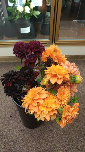 Florist «Fortin Gage Flowers & Gifts», reviews and photos, 86 W Pearl St, Nashua, NH 03060, USA