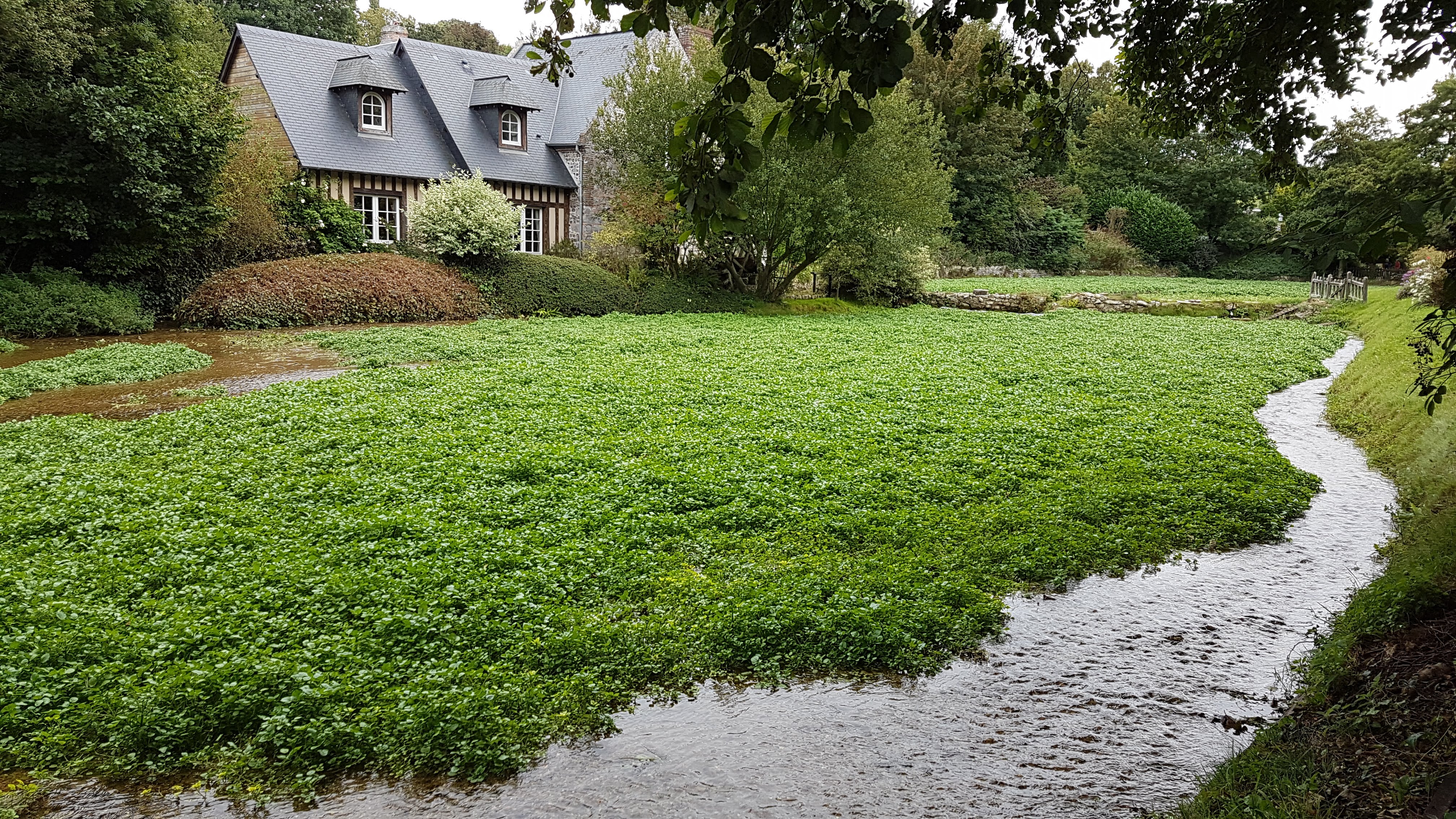 Photo n° 2 de l'avis de apremont.e fait le 10/09/2018 à 13:39