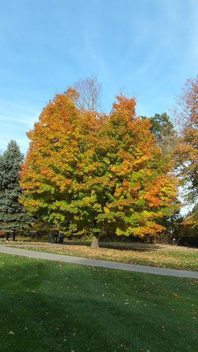 Golf Course «Black Brook Golf Course & Practice Center», reviews and photos, 8900 Lakeshore Blvd, Mentor, OH 44060, USA