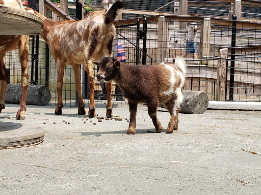 State Government Office «Wilmington State Parks», reviews and photos, 1021 W 18th St, Wilmington, DE 19802, USA