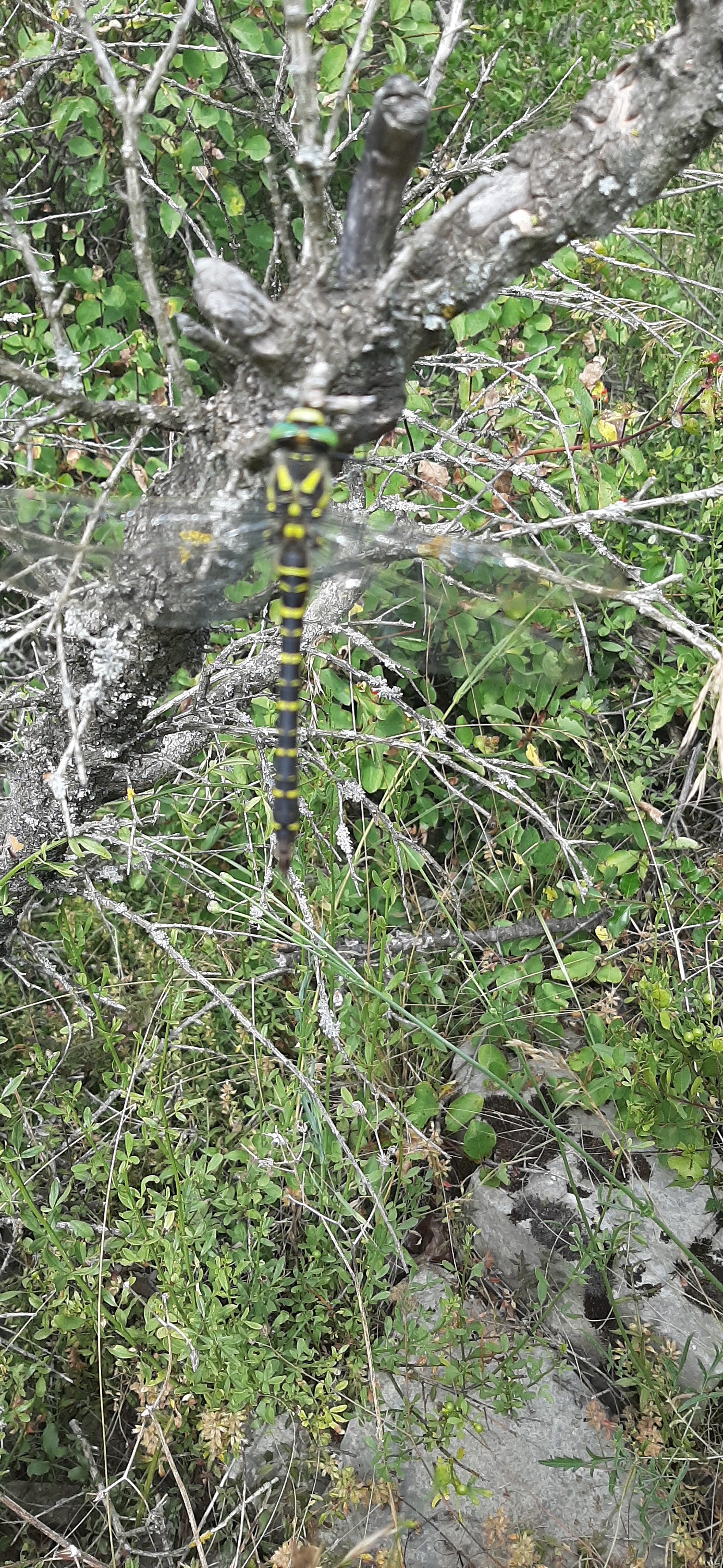 Photo n° 10 de l'avis de jacques.a fait le 19/07/2023 à 16:56
