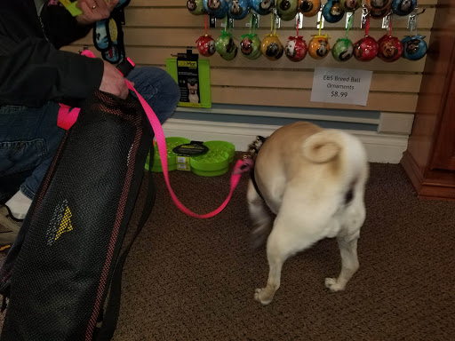 Pet Supply Store «Decadent Dogs», reviews and photos, 206 S River Ave, Holland, MI 49423, USA