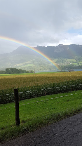 Rezensionen über Swiss Car Barras SA in Bulle - Kurierdienst