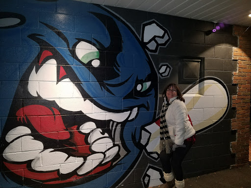 Bowling Alley «Mt. Morris Lanes and Pro Shop», reviews and photos, 9 Erie St, Mt Morris, NY 14510, USA