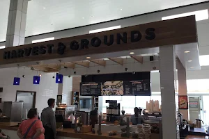 Harvest & Grounds, Terminal G, Ft Lauderdale-Hollywood International Airport image