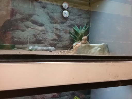 Pet Supply Store «Petco Animal Supplies», reviews and photos, 10190 W McDowell Rd, Avondale, AZ 85323, USA