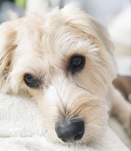 Insurance Agency «Allstate Insurance Agent: Rod Lovelace», reviews and photos