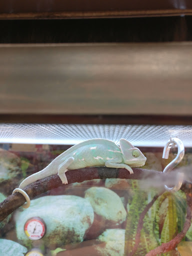 Pet Supply Store «Petco Animal Supplies», reviews and photos, 5938 Roswell Rd NE, Sandy Springs, GA 30328, USA