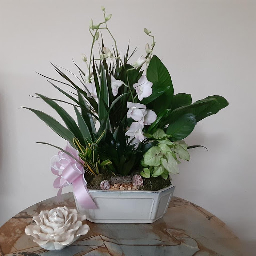 Florist «Knox Flowers & Gifts», reviews and photos, 2005 Columbia Ave, Helena, MT 59601, USA