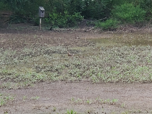 Nature Preserve «Clyde Shepherd Nature Preserve», reviews and photos, 2580 Pine Bluff Dr, Decatur, GA 30033, USA