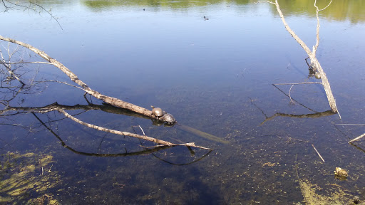 Nature Preserve «Mitchell Lake Audubon Center», reviews and photos, 10750 Pleasanton Rd, San Antonio, TX 78221, USA