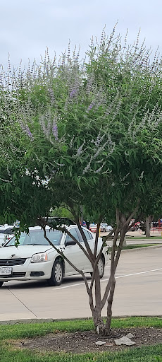 Pet Supply Store «Petco Animal Supplies», reviews and photos, 3055 N President George Bush Hwy, Garland, TX 75040, USA