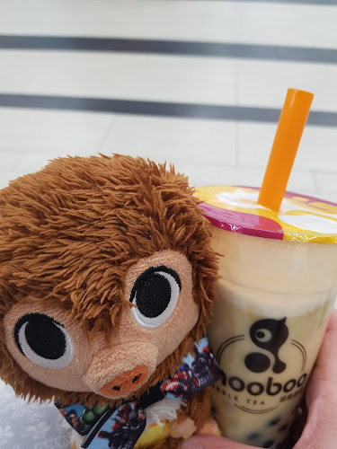 Reviews of Mooboo Reading - The Best Bubble Tea in Reading - Coffee shop