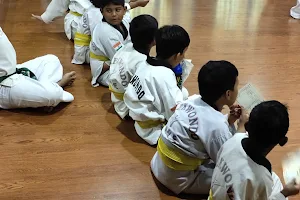 S.N Taekwondo Academy image