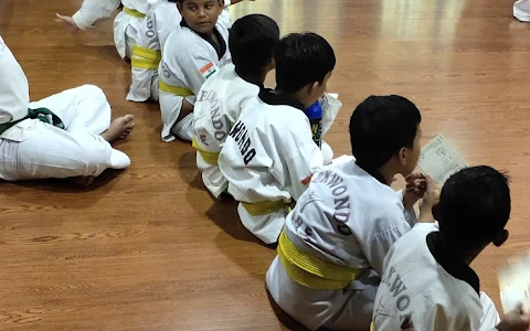 S.N Taekwondo Academy image