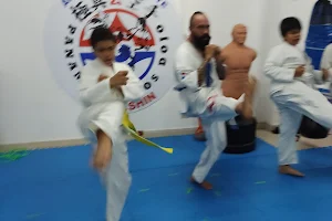 Karate Kyokushin Panamá - Bustos Dojo image