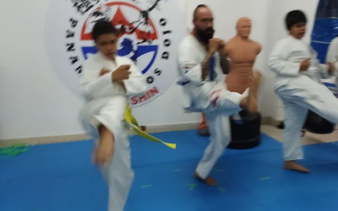 Karate Kyokushin Panamá - Bustos Dojo image
