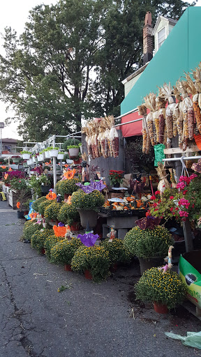 Produce Market «Hudson Farmers Market», reviews and photos, 3437 John F. Kennedy Blvd, Jersey City, NJ 07307, USA