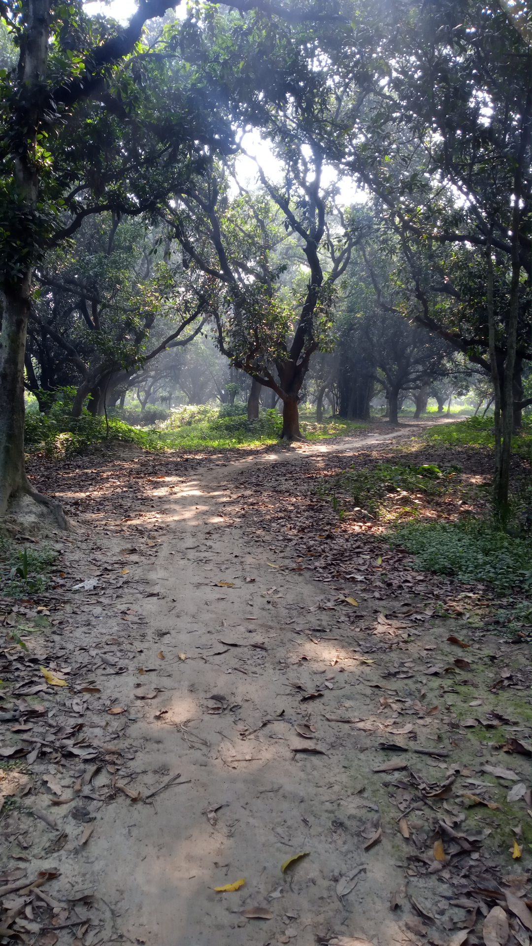 पारस सिंह दौड़ अभ्यास स्थान