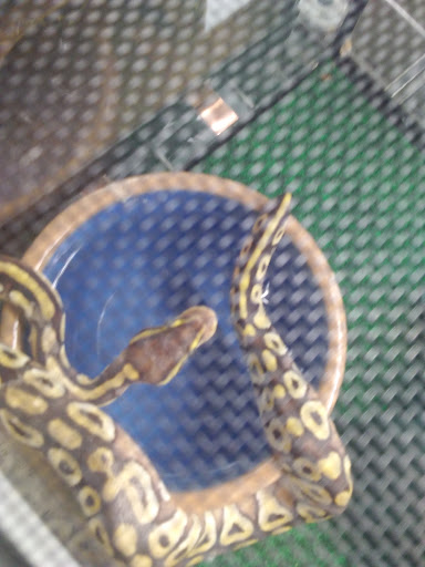 Pet Supply Store «Coral Reef», reviews and photos, 625 W Agency Rd, West Burlington, IA 52655, USA