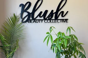 Blush Beauty Collective image