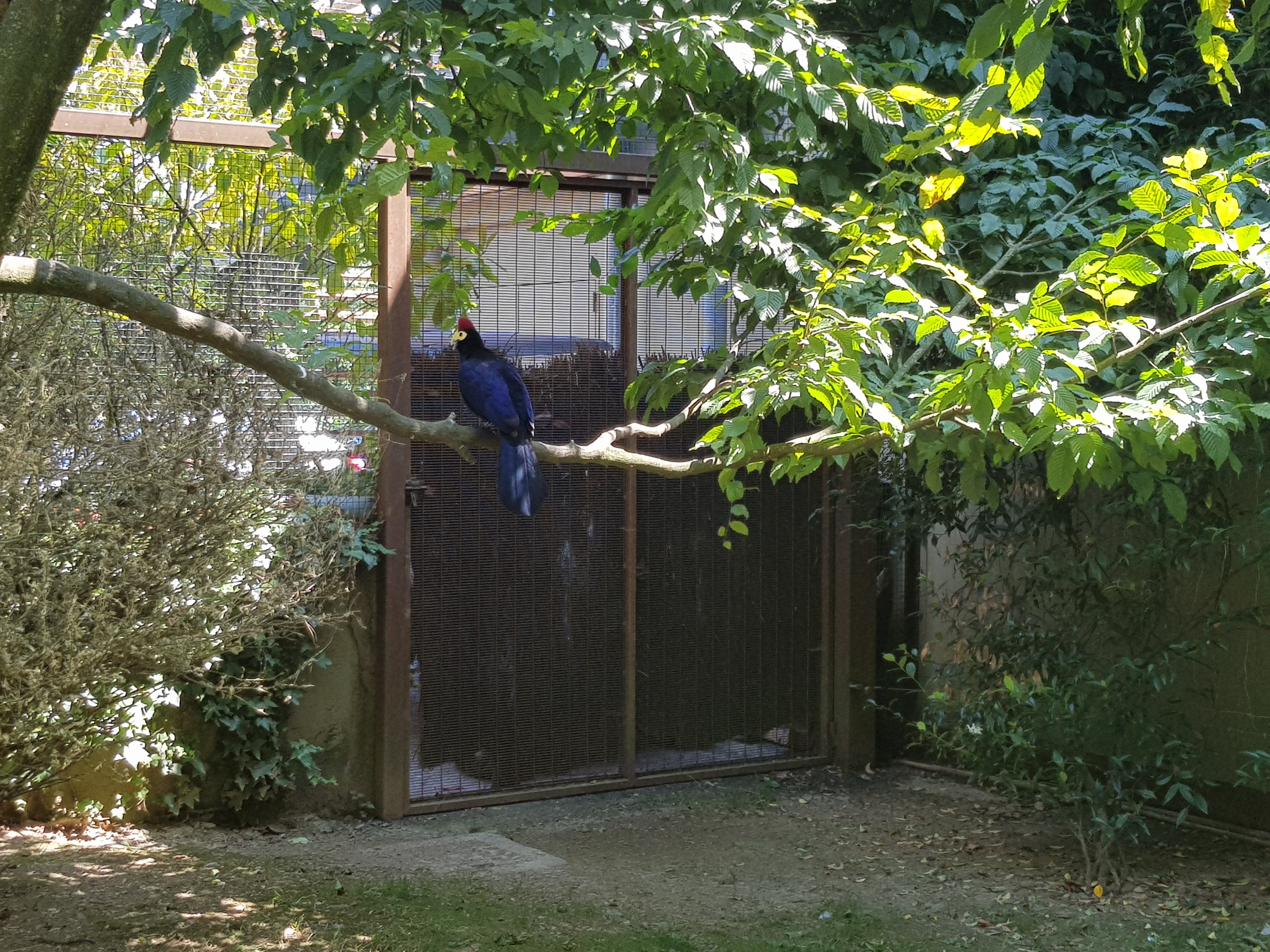 Photo n° 6 de l'avis de Tako.a fait le 27/08/2021 à 13:08