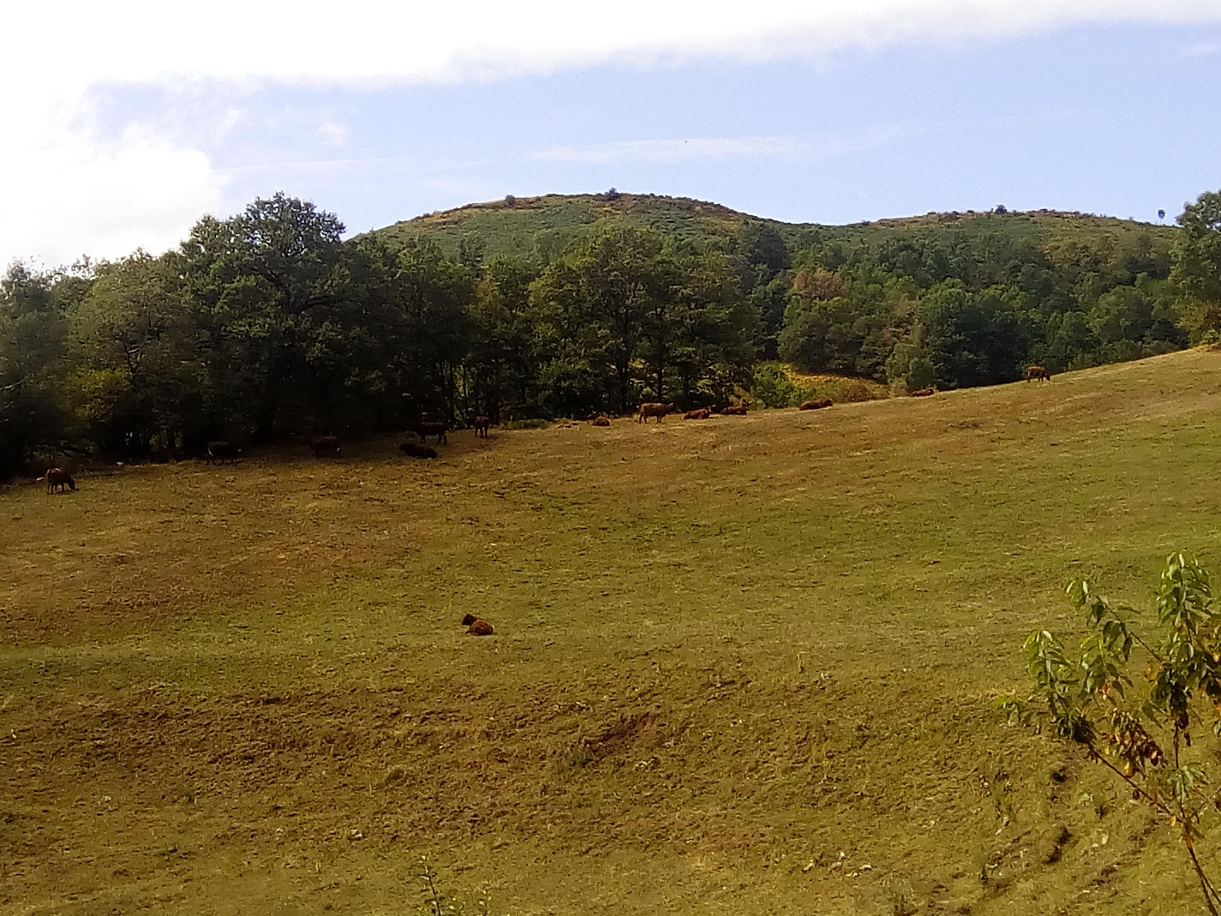 Photo n° 6 de l'avis de Aurore.e fait le 21/08/2016 à 00:30